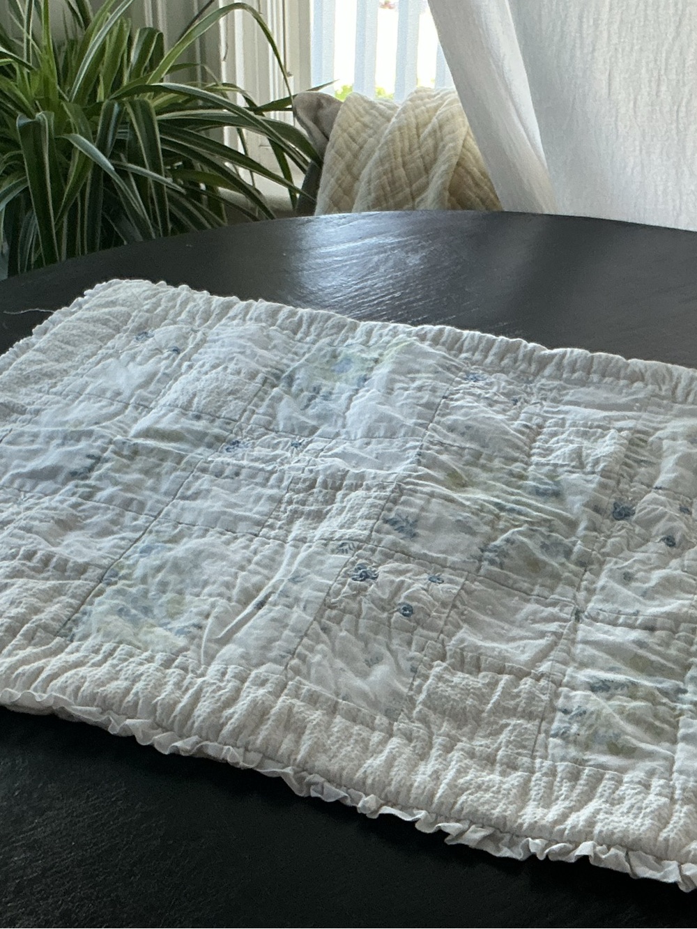 EUC Simply Shabby Chic Ruffled Pillow Sham